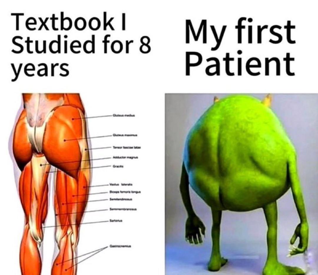 It humorously contrasts the detailed anatomical knowledge from textbooks with the reality that patients don't look like perfect diagrams, using Mike Wazowski's unusual body shape to represent how confusing real patients can be.