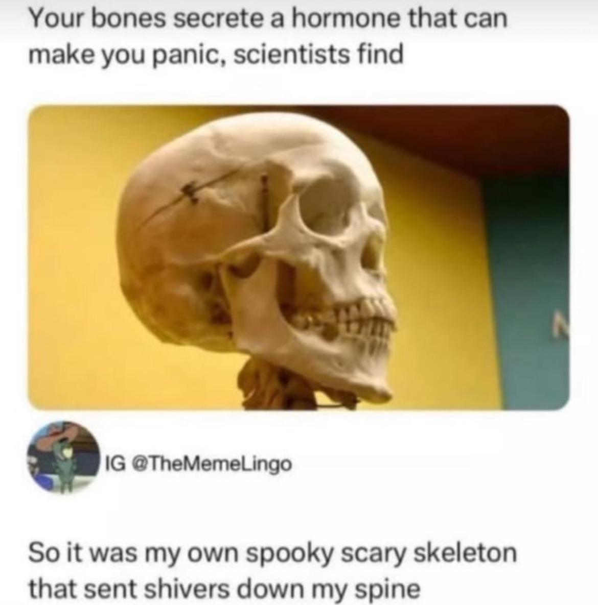 It's funny because it takes a scientific fact about bones producing hormones that can cause panic and turns it into a spooky skeleton joke with the punchline that your own skeleton is literally giving you the chills.