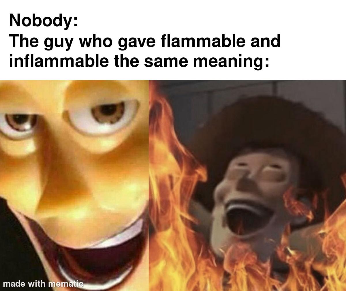 It's funny because it points out the absurd linguistic contradiction where 'flammable' and 'inflammable' mean the same thing despite having opposite-seeming prefixes, using the popular 'Nobody/The guy who' meme format with fire imagery.
