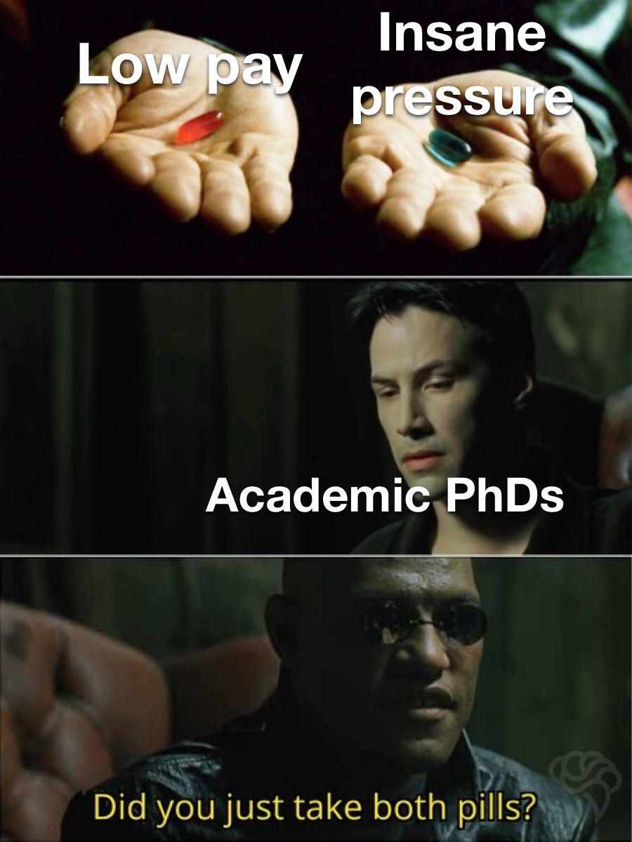 It humorously depicts how academic PhDs face the impossible choice between low-paying positions and high-pressure environments, using the Matrix red/blue pill format to show they end up with both problems.