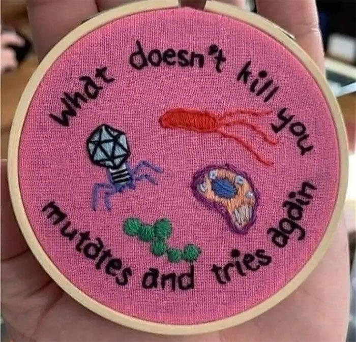 It's a humorous embroidery hoop that plays on the dark humor of what doesn't kill you making you stronger by listing various things that could actually kill you like murder and tries again.